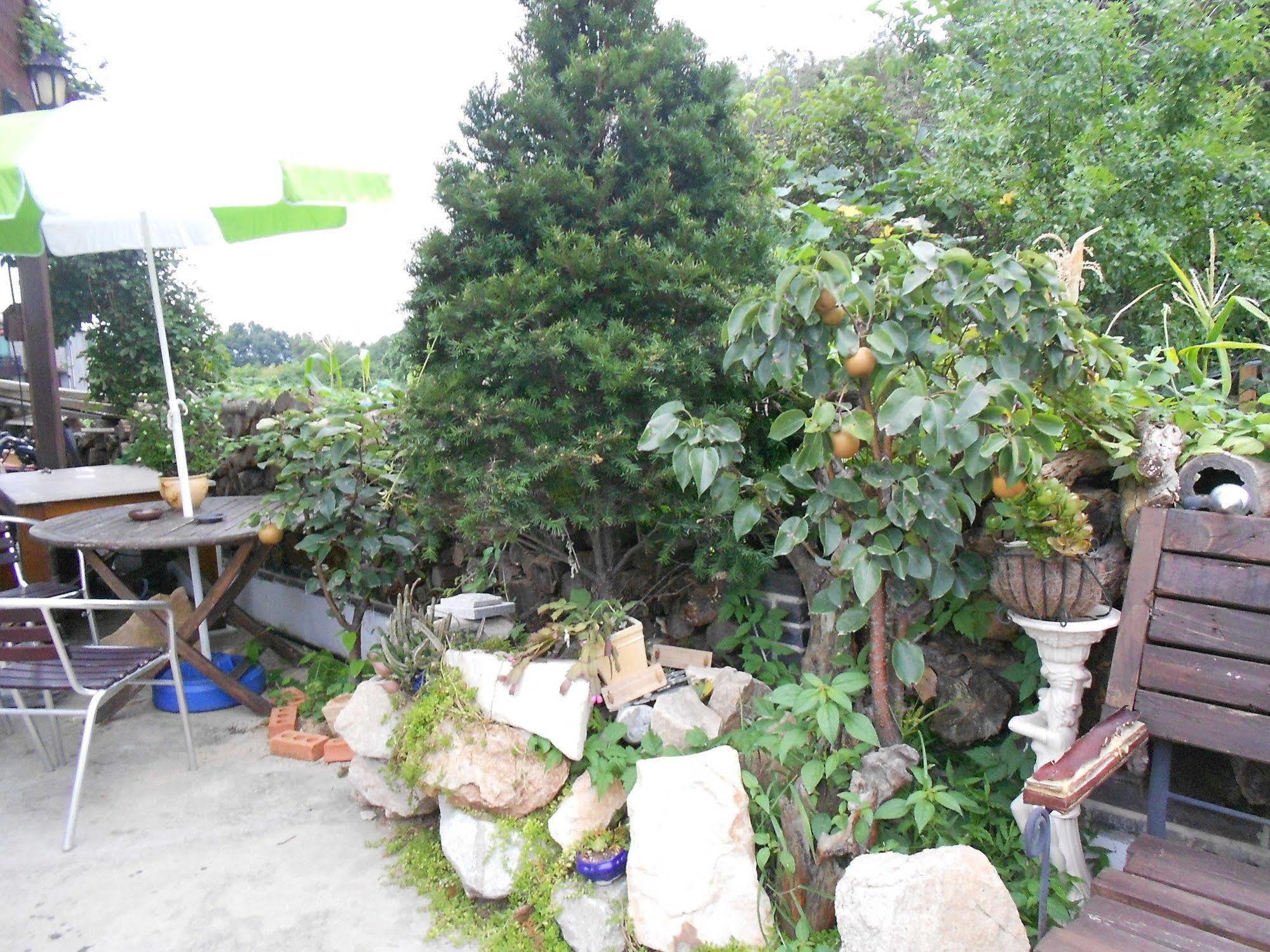 Elvis Bnb อินชอน ภายนอก รูปภาพ